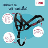 La compagnie des animaux compagnie des animaux licol halti noir