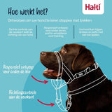 La compagnie des animaux compagnie des animaux licol halti noir
