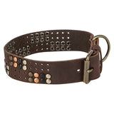Trixie collier pour chien rivet rustique cuir graissé marron foncé
