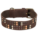 Trixie collier pour chien rivet rustique cuir graissé marron foncé