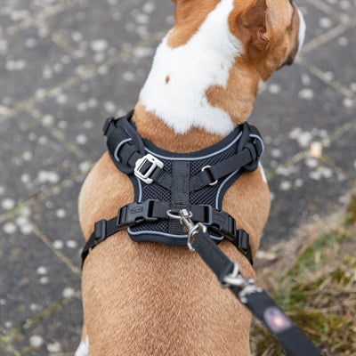 Trixie harnais pour chien premium flexmesh large poitrine noir