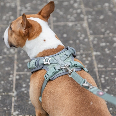 Trixie harnais pour chien premium flexmesh large poitrine vert sauge