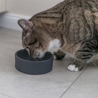 Bol de nourriture pour chat en céramique Trixie assorti