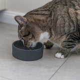 Bol de nourriture pour chat en céramique Trixie assorti