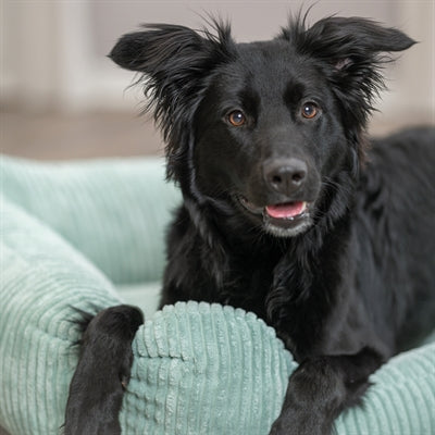 Trixie lit pour chien Jonna Vital tissu côtelé vert sauge