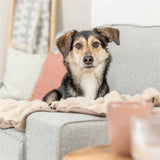 Trixie couverture pour chien elli sable