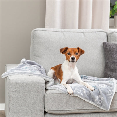 Trixie couverture pour chien Jimmy Soft gris clair