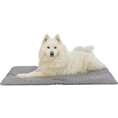 Tapis de salon Trixie gris marley