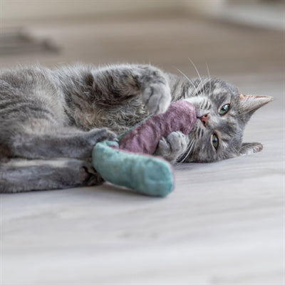 Rouleau de coussin de jeu Trixie avec herbe à chat assorti