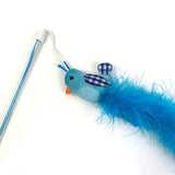 Happy pet tabby patch chat tige oiseau bleu