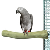 Retour zoo nature java perche