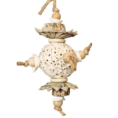 Back zoo nature ball and shells