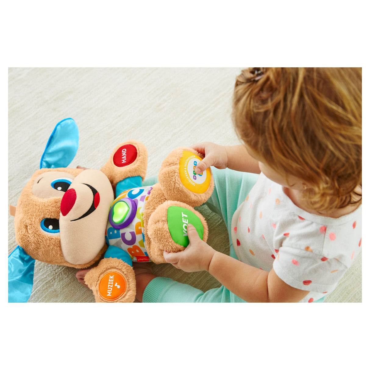 Fisher Price Learning Pleasure First Words valp