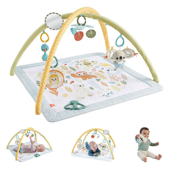 Fisher Price känner helt enkelt Babylegym