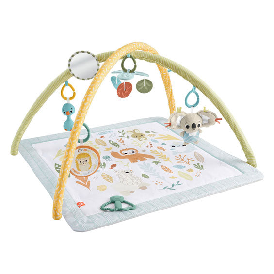 Fisher Price känner helt enkelt Babylegym