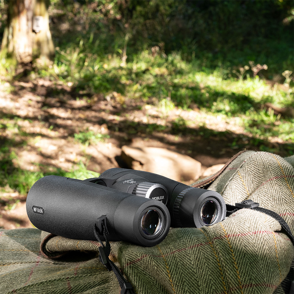 Jumelles Noblex nf 8x56 création
