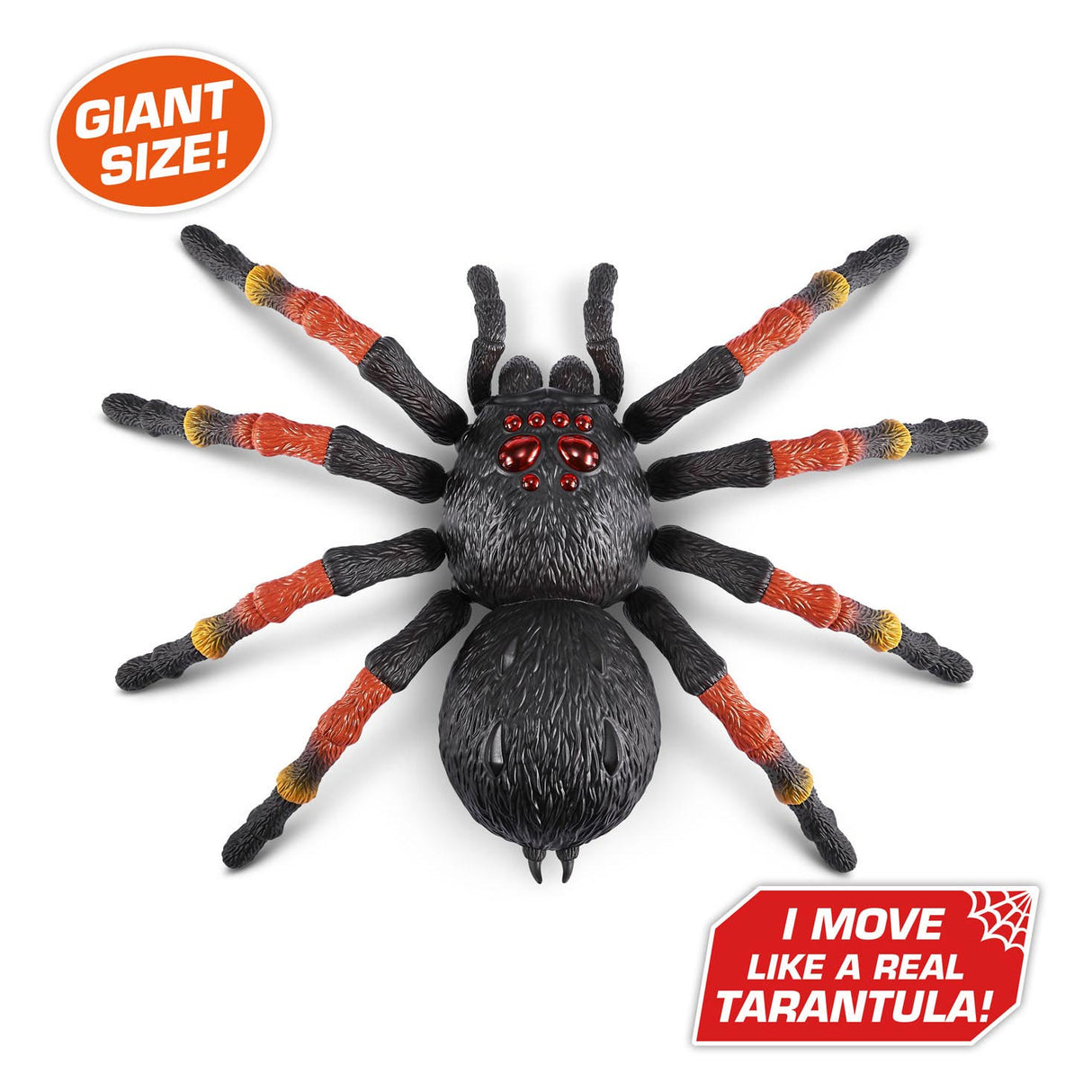 Zuru robo tarentule géante vivante avec de la bave de toile d'araignée