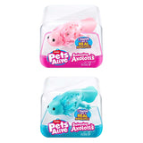 Zuru animaux vivants nageant axolotl assortis | 12 pièces