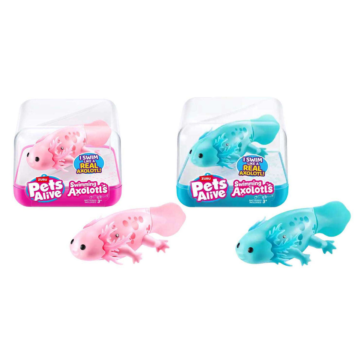 Zuru animaux vivants nageant axolotl assortis | 12 pièces