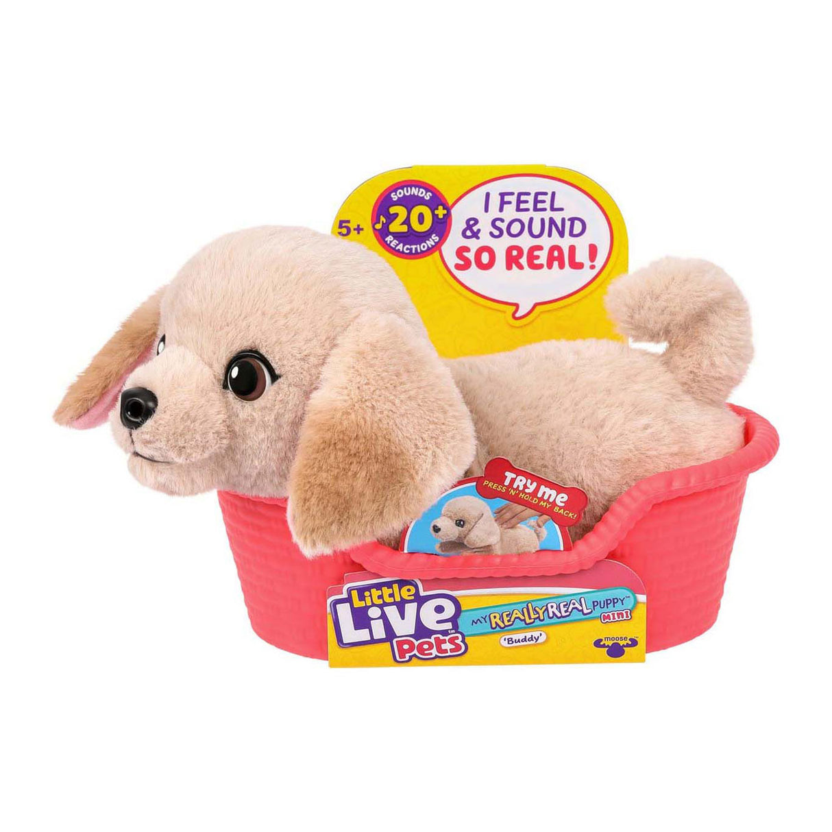 Spectron petits animaux vivants, mon vrai vrai mini copain chiot