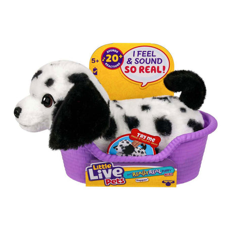Mon vrai vrai chiot mini poivre 21 cm