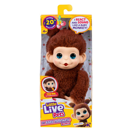 Petits animaux vivants mon bébé mini singe brun cherri | 3 pièces