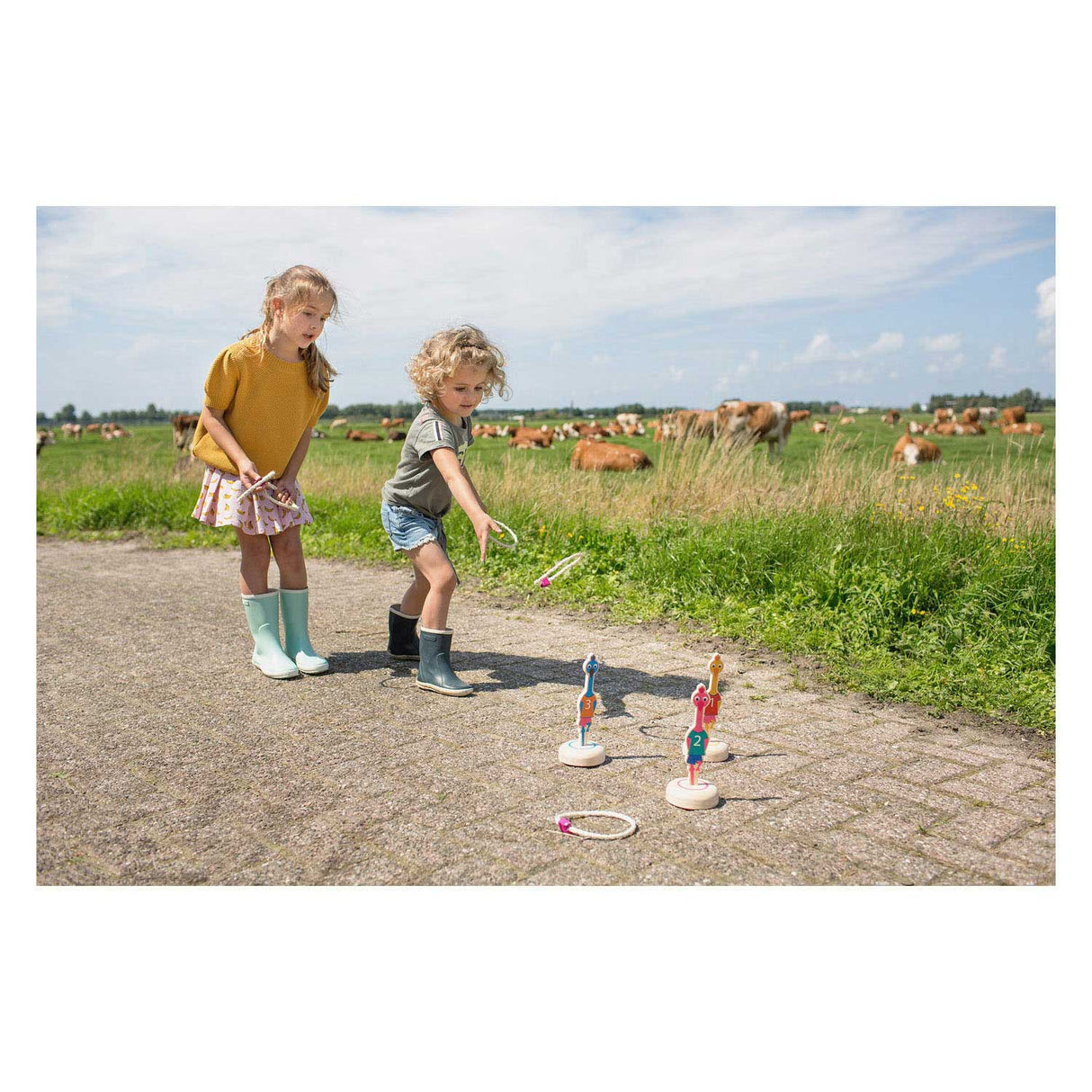 Bs toys ringwerpen vogels hout - werpspel