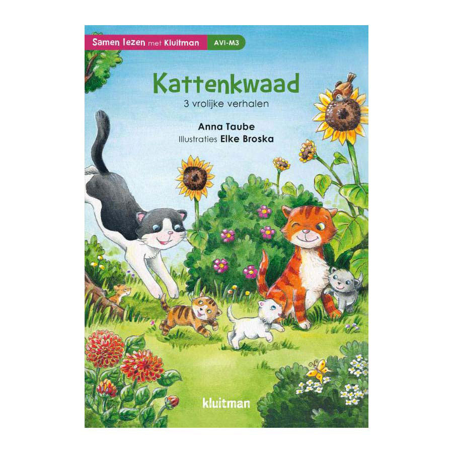 Éditeur Kluitman katkwaad avi m3