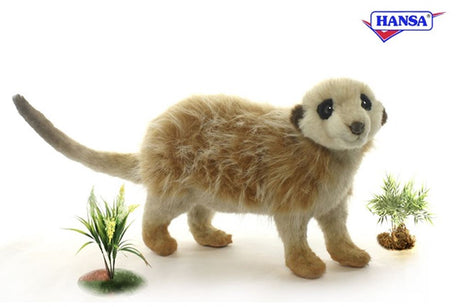 Suricate debout 32 cm