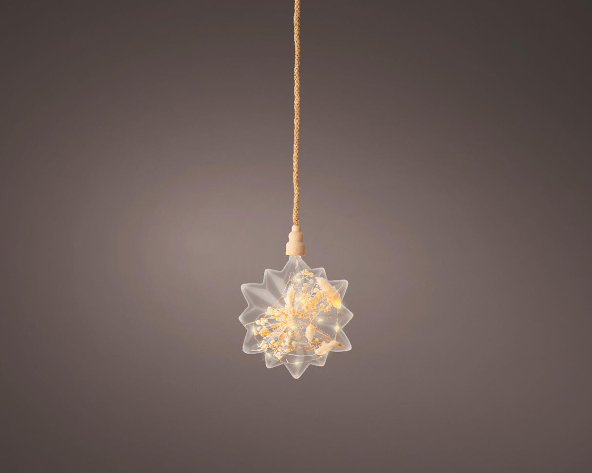 Lumineo micro étoile LED avec fleurs séchées ø 19cm