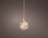 Lumineo micro étoile LED avec fleurs séchées ø 19cm