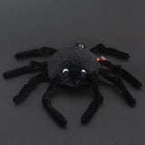 Ptipotos l'araignée noire 15 cm