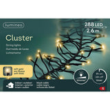 Kaemingk LED cluster lumières fixes extérieur 260cm