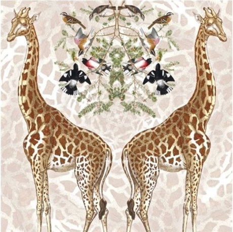Carte+enveloppe girafe. 16x16cm