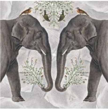 Carte+enveloppe éléphant indien. 16x16cm
