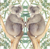 Carte+enveloppe ours koala. 16x16cm