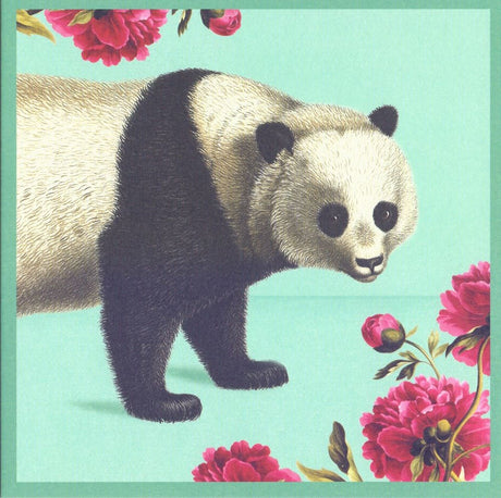 Kaart+enveloppe pandabeer. 16x16cm