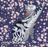 Carte+enveloppe. chaton sakura. 16x16cm