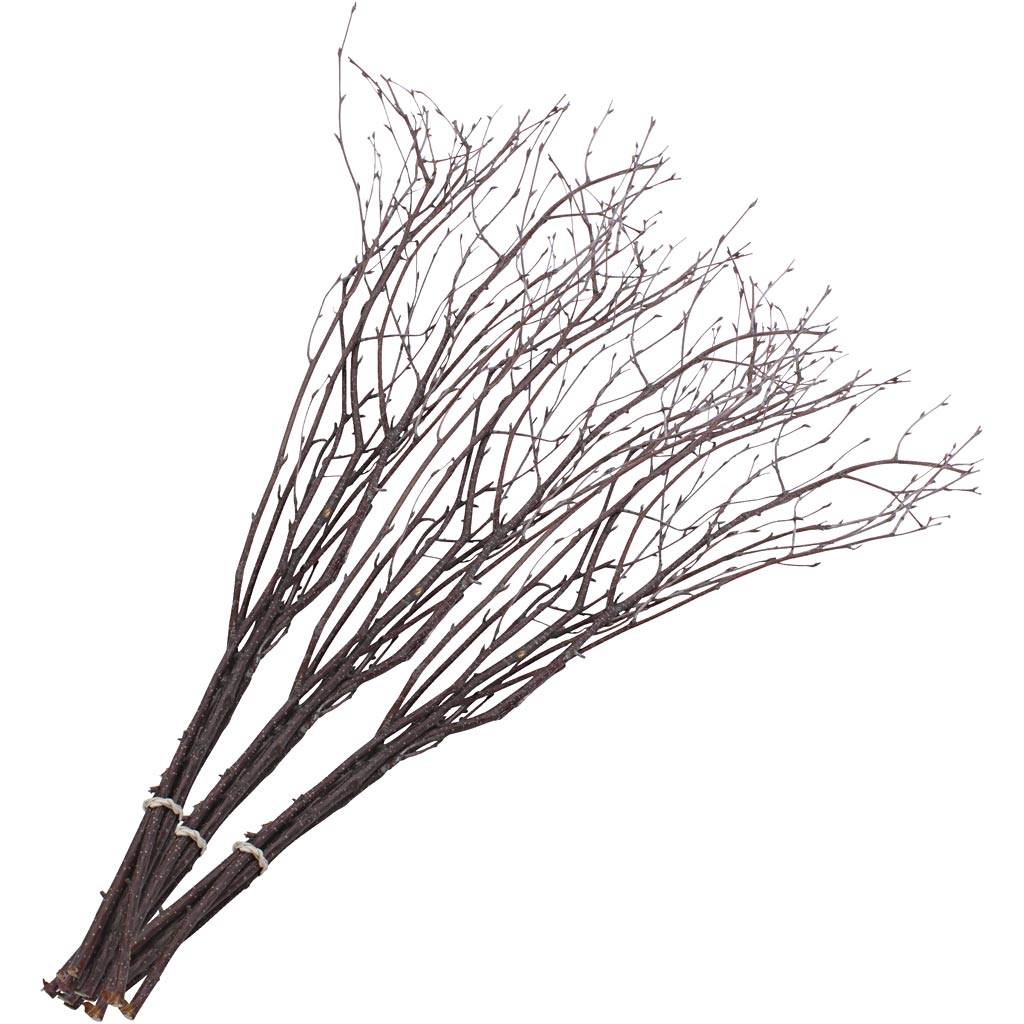 Branches de bouleau, l: 50-60 cm, 20 pièces 1 boîte