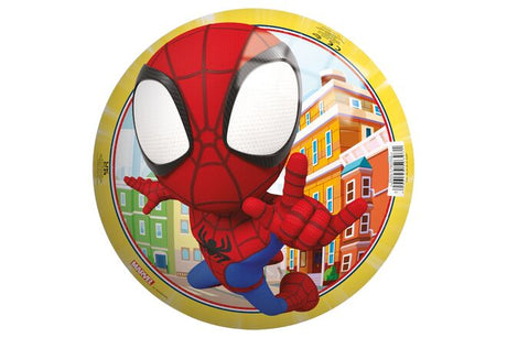 Balle araignée 23 cm | 10 pièces