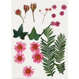 Entreprise créative https: www.ccobby.nl fleurs-et-feuilles-séchées-ca-19-piece-lightred-1-box