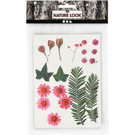 Entreprise créative https: www.ccobby.nl fleurs-et-feuilles-séchées-ca-19-piece-lightred-1-box