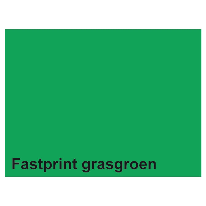 Papier à copier Quantore fastprint a4 160gr vert herbe 50 feuilles