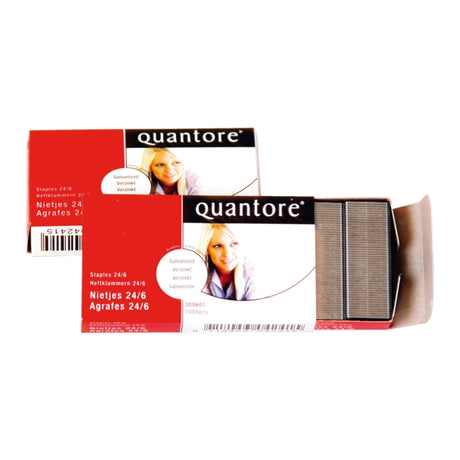 Agrafe quantore 24 6 1000 pièces galvanisées