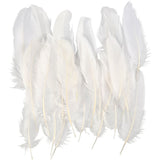 Plumes Creativ Company, taille 10-18, blanches, 70 pièces 1 sachet
