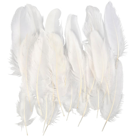 Plumes Creativ Company, taille 10-18, blanches, 70 pièces 1 sachet