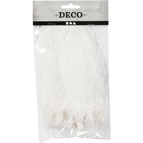 Plumes Creativ Company, taille 10-18, blanches, 70 pièces 1 sachet