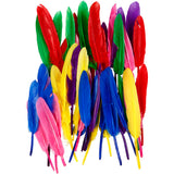Plumes Creativ company, l: 13 cm, différentes couleurs, 48 pièces 1 boîte