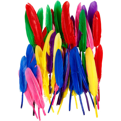 Plumes Creativ company, l: 13 cm, différentes couleurs, 48 pièces 1 boîte