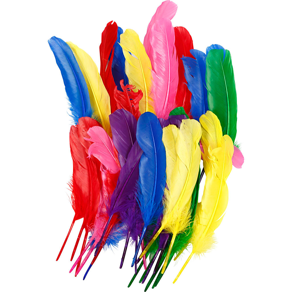 Plumes Creativ company, l: 20 cm, différentes couleurs, 36 pièces 1 boîte